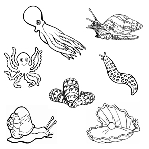 imagini de colorat animale